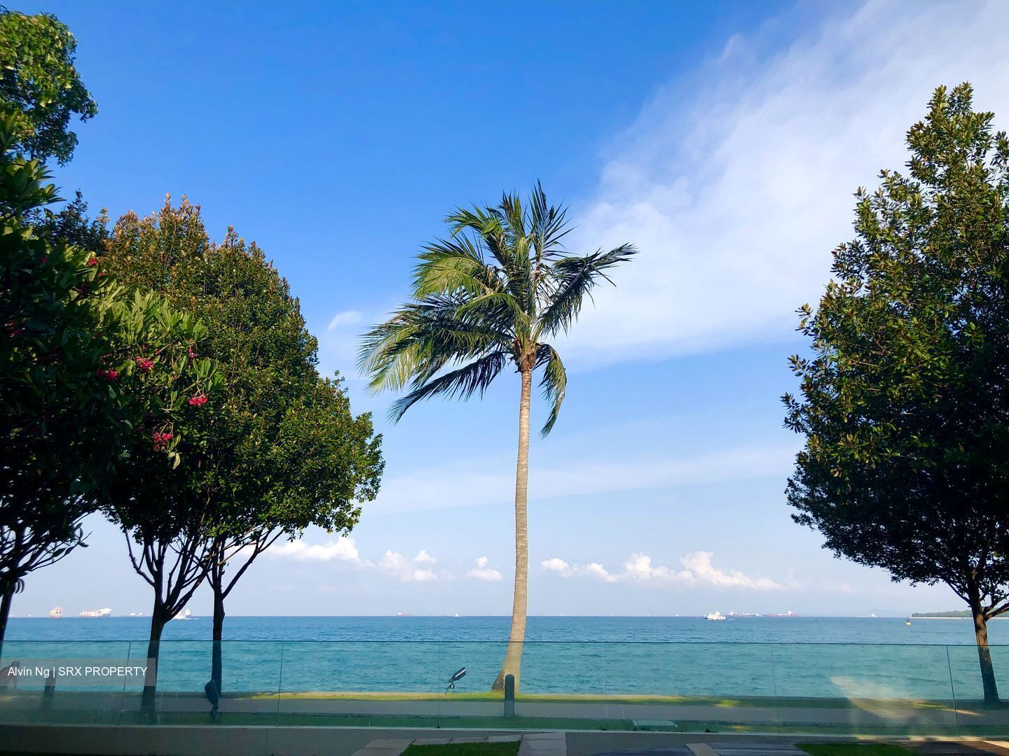 Ocean Drive (D4), Detached #394641671